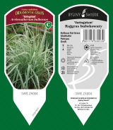 dísznövények: évelők, fű, fűszernövények, páfrányok 31